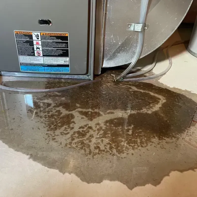 Appliance Leak Cleanup in Cortez, CO